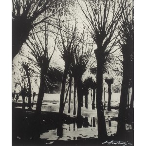 Edward Hartwig (1909 - 2003), Wierzby