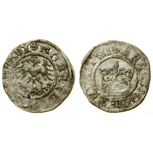 Polska, półgrosz, 1511, Kraków