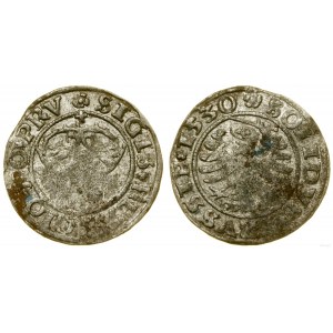 Polska, szeląg, 1530, Toruń