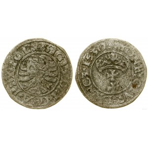 Polska, szeląg, 1530, Gdańsk