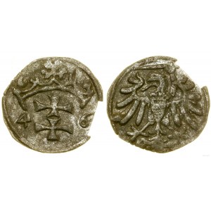 Polska, denar, 1546, Gdańsk