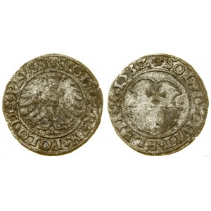 Polska, szeląg, 1532, Elbląg