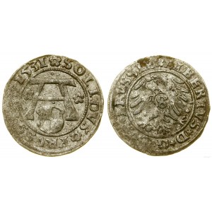 Prusy Książęce (1525-1657), szeląg, 1531, Królewiec