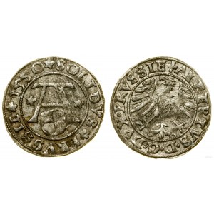 Prusy Książęce (1525-1657), szeląg, 1550, Królewiec
