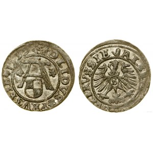 Prusy Książęce (1525-1657), szeląg, 1557, Królewiec