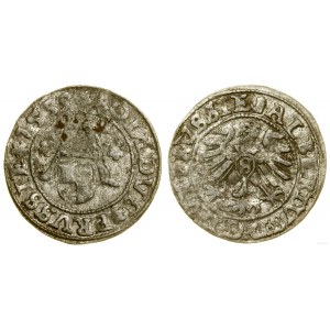 Prusy Książęce (1525-1657), szeląg, 1559, Królewiec