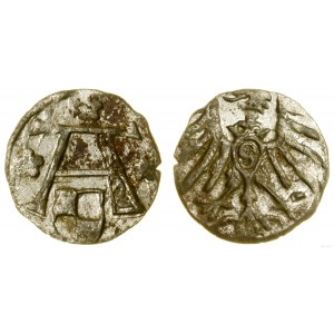 Prusy Książęce (1525-1657), denar, bez daty, Królewiec
