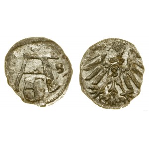 Prusy Książęce (1525-1657), denar, 1558, Królewiec