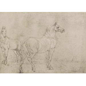 Paulus POTTER (1625-1654) - according to, A Pair of Horses