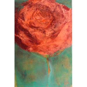 Halszka Maj, Rose