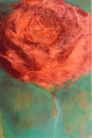 Halszka Maj, Rose