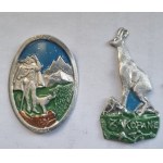 Zakopane, Tatra Mountains - stamps for a walking stick