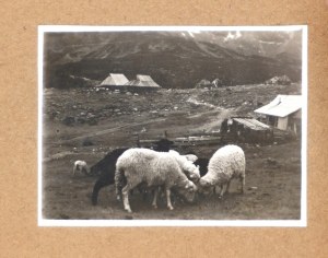 [GÓRY - wyprawy turystyczne - fotografie sytuacyjne i widokowe]. [1. poł. XX w.]. Zestaw 16 fotografii form. ca 4,...