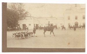 [Hunting at the Potocki's in Antoniny - hunting trip - situational photograph]. [early 20th century]. Photo form....