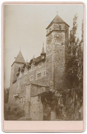 [RAPPERSWIL - sede del Museo Polacco - veduta fotografica]. [Prima metà del XX secolo]. Forma della fotografia. 14,7x10,...