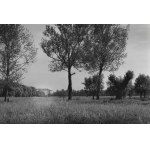 [RYDZYNA - zamek - fotografie widokowe]. [l. 80. XX w.]. Zestaw 4 fotografii form. ca 16x23,...