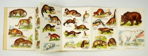 A SMALL atlas of mammalian animals. Rev. 1: 56 color drawings on 11 plates with explanatory text. Warsaw [1927]...