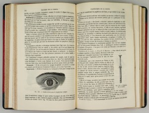 GAŁĘZOWSKI K. - Traité des maladies des yeux. Paris 1875.
