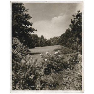 [BYTOM - frammento di un parco cittadino - veduta fotografica]. [l. 40s. XX sec.]. Forma della fotografia. 21,5x17,...