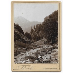 [MOUNTAINS - Tatra Mountains - Strążyska Valley - chimneys - view photograph]. [l. 80s/90s of the 19th century]. Photograph form. 15,...