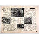 ZEBRA. [R.1], nr 10: 8 VIII 1957.