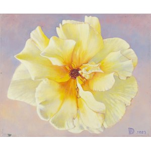 Dorota Degórska-Bartkowicz (b. 1972, Gniezno), Yellow Rose, 2023