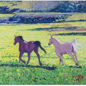 Gabriela PALUCH, Horses