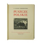 [CUDA POLSKI] OSSENDOWSKI F.A. - Puszcze polskie , Wydawnictwo Polskie R. Wegner, Poznań