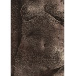 Krystyna Piotrowska (ur. 1949, Zabrze), Nici 1, 1994