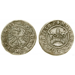Polska, półgrosz, 1508, Kraków