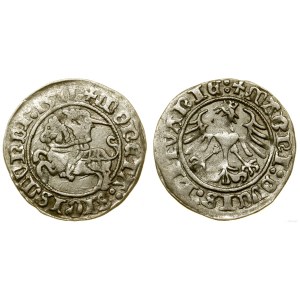 Polska, półgrosz litewski, 1511, Wilno