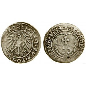 Polska, grosz, 1534, Elbląg