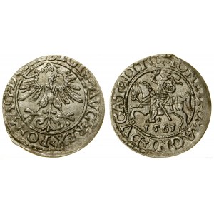 Polska, półgrosz, 1561, Wilno