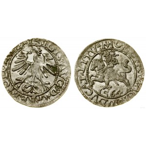 Polsko, půlpenny, 1564, Vilnius