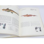 Atlas ryb Północnego Atlantyku / Andrzej Klimaj, Stanisław Rutkowicz ;