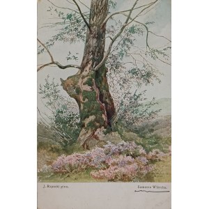 Jozef Rapacki, Lonely willow tree / Postcard with reproduction, published by A. Chlebowski, Warsaw, 1927