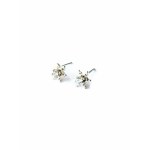 Silver star earrings