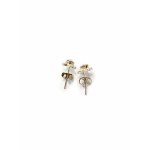 Silver star earrings