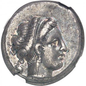 Campanie, Naples. Didrachme ND (300-275 av. J.-C.), Naples.