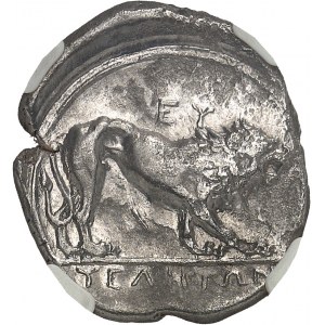 Lucanie, Velia. Didrachme ND (340-334 av. J.-C.), Velia.