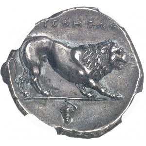 Lucanie, Velia. Didrachme ND (300-280 av. J.-C.), Velia.