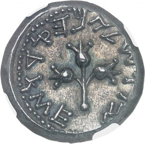 Judée, Première guerre judéo-romaine ou Grande Révolte (66-73). Shekel An 2 (67/68), Jérusalem.
