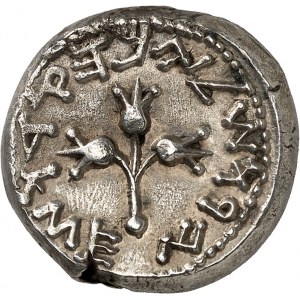 Judée, Première guerre judéo-romaine ou Grande Révolte (66-73). Shekel An 3 (68/69), Jérusalem.