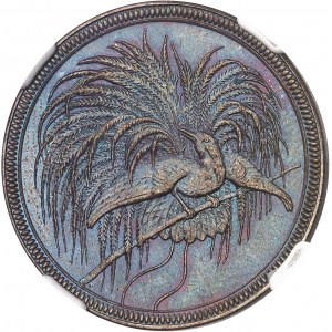 Nouvelle-Guinée allemande (1884-1919). 10 pfennig de Nouvelle-Guinée allemande 1894, A, Berlin.