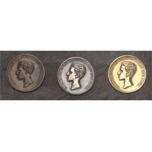 Alphonse XIII (1886-1931). Coffret de 3 médailles Or, argent et bronze, jurement de la Constitution par le Roi, par B. Maura 1902, Madrid.