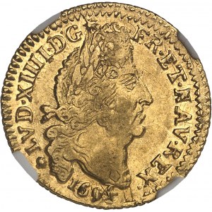 Louis XIV (1643-1715). Louis d’or aux quatre L 1694, M, Toulouse.