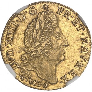 Louis XIV (1643-1715). Louis d’or aux quatre L, flan neuf 1695, D, Lyon.