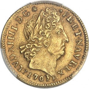 Louis XIV (1643-1715). Louis aux huit L et aux insignes, flan neuf 1703/2, N, Montpellier.
