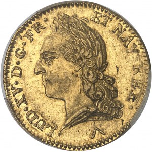 Louis XV (1715-1774). Double louis d’or à la vieille tête 1773, W, Lille.
