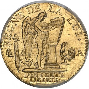Constitution (1791-1792). Louis d’or de 24 livres 1793, A, Paris.